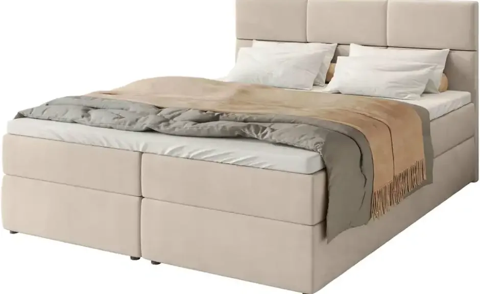 Boxbett Boston
