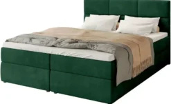 Boxbett Boston