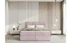 Boxbett Boston