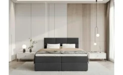 Boxbett Boston