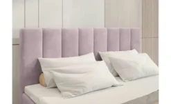Boxbett Denver
