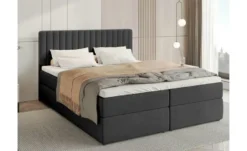 Boxbett Dream