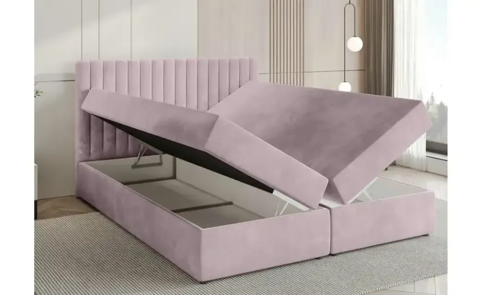 Boxbett Dream