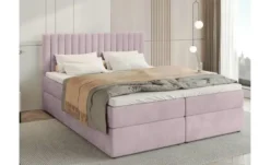 Boxbett Dream