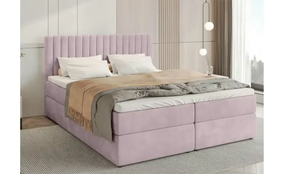 Boxbett Dream