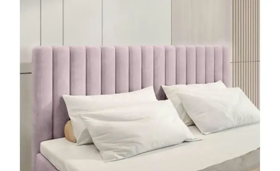 Boxbett Dream