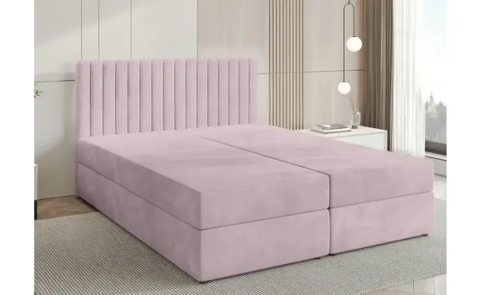 Boxbett Dream