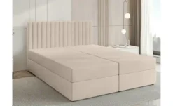 Boxbett Dream