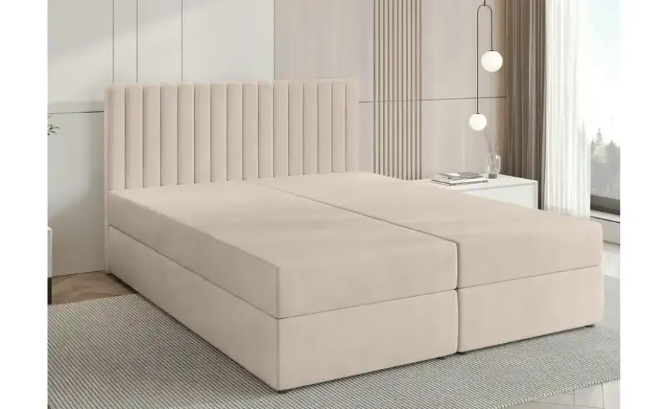 Boxbett Dream