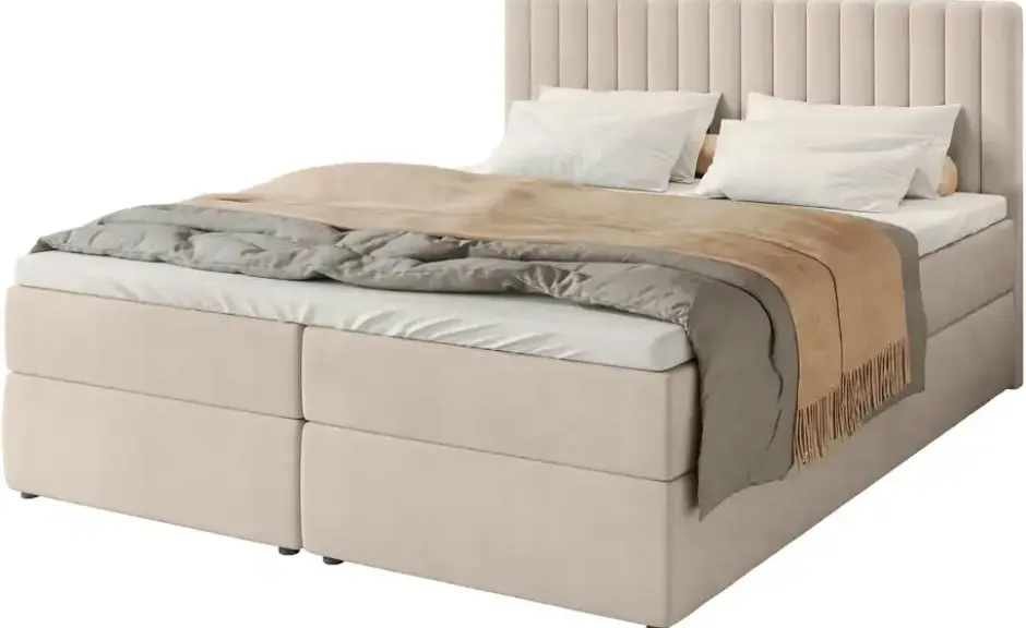 Boxbett Dream