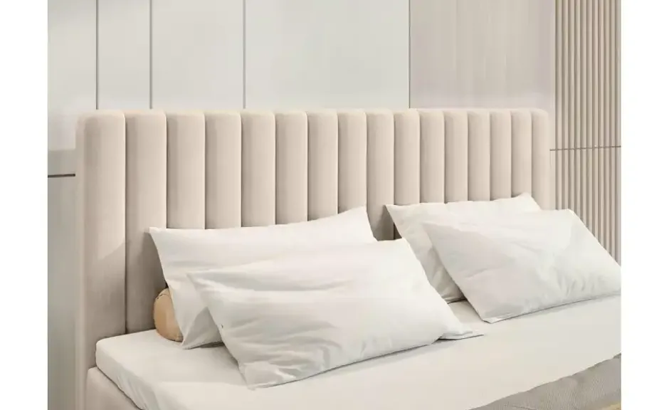 Boxbett Dream