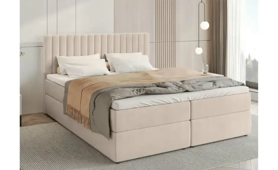 Boxbett Dream