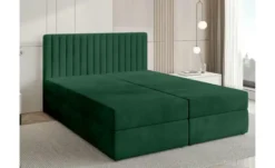 Boxbett Dream