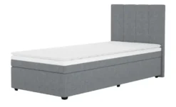 Boxbett Duke