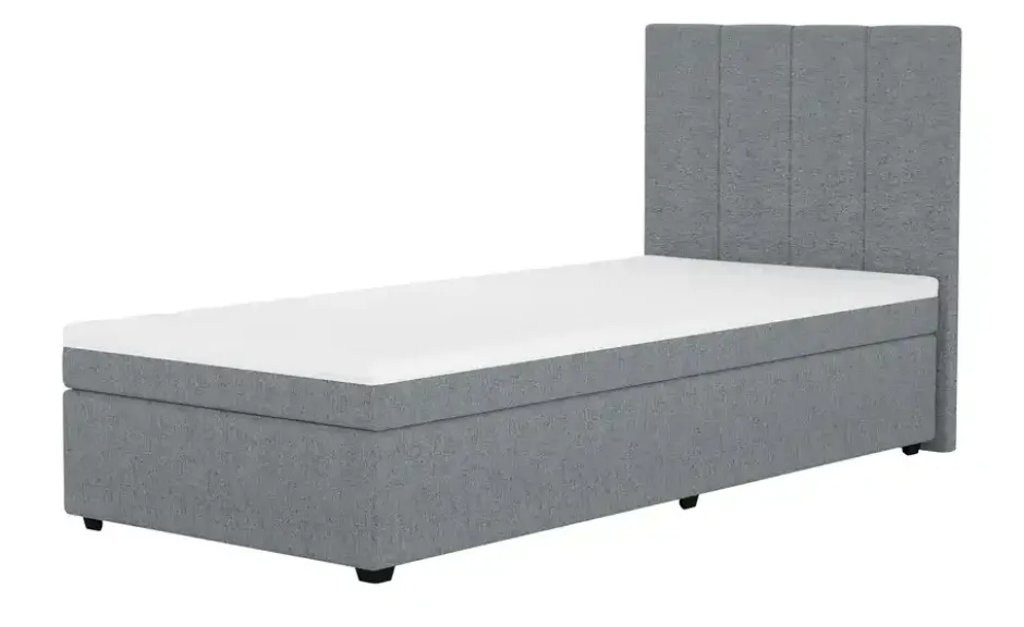 Boxbett Duke