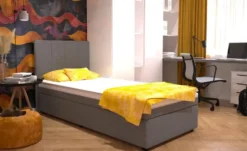 Boxbett Duke