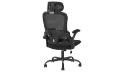 Chefsessel Schwarzbach 2