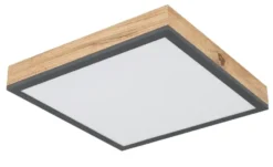 Globo Lighting Deckenleuchte