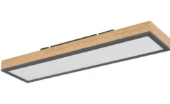 Globo Lighting Deckenleuchte