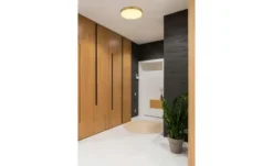 Globo Lighting Deckenleuchte
