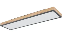 Globo Lighting Deckenleuchte