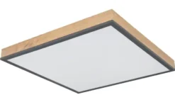 Globo Lighting Deckenleuchte