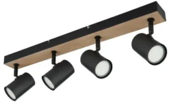 Globo Lighting Deckenstrahler