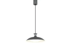 Globo Lighting Hängeleuchte