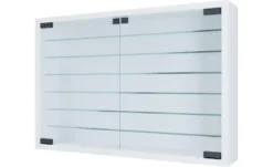 Hängevitrine