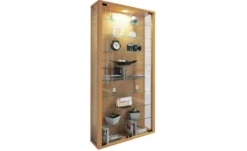 Hängevitrine