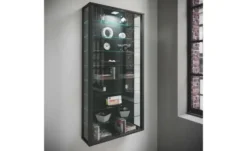 Hängevitrine