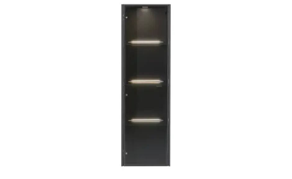 Hängevitrine Light Line 10