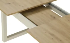 in verschiedenen Größen Austin