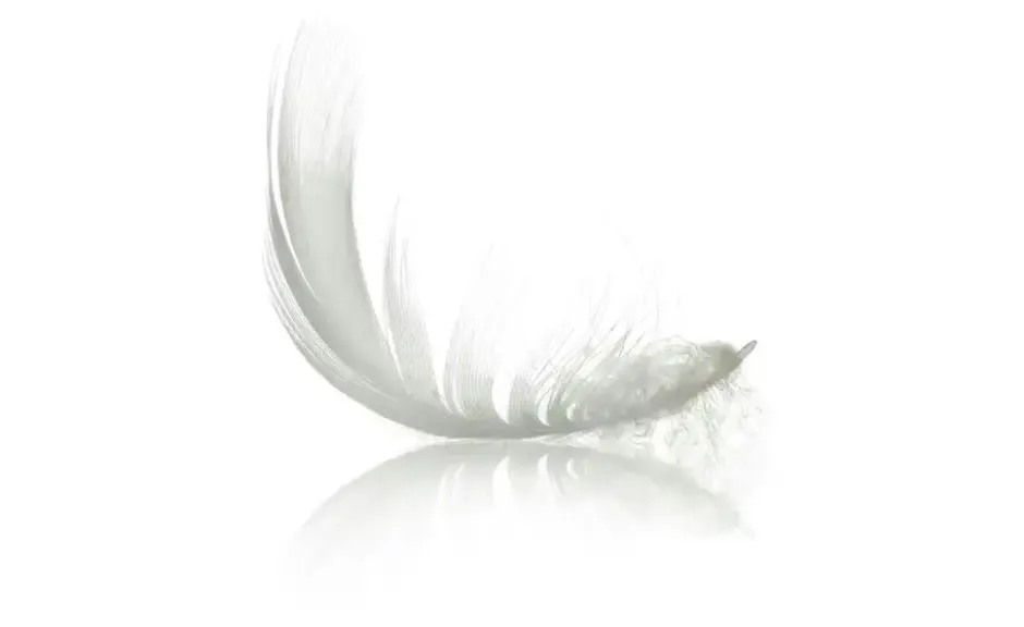 IRISETTE Steppbett Medium