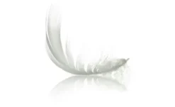 IRISETTE Steppbett Warm