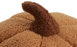 Kissen Kürbis