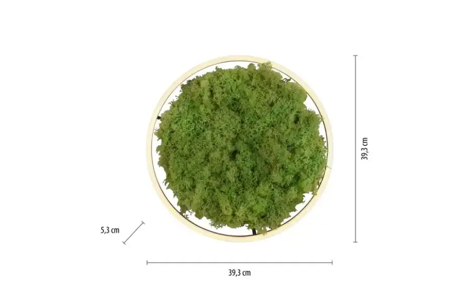 Paul Neuhaus Deckenleuchte