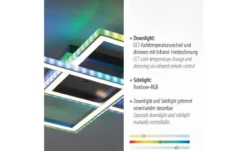 Paul Neuhaus LED Deckenleuchte