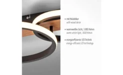Paul Neuhaus LED Deckenleuchte