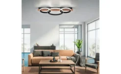 Paul Neuhaus LED Deckenleuchte