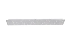 Paul Neuhaus LED Deckenleuchte