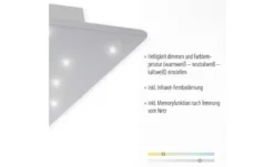 Paul Neuhaus LED Deckenleuchte