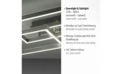 Paul Neuhaus LED Deckenleuchte