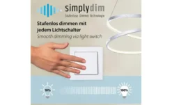 Paul Neuhaus LED Pendelleuchte