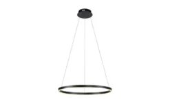 Paul Neuhaus LED Pendelleuchte
