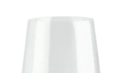 Peill+Putzler Biertulpe Casa