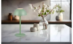 Reality Leuchten LED-Akkuleuchte