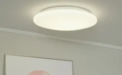 Reality Leuchten LED Deckenleuchte 1-flammig