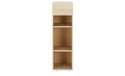 Regal Multischrank-System
