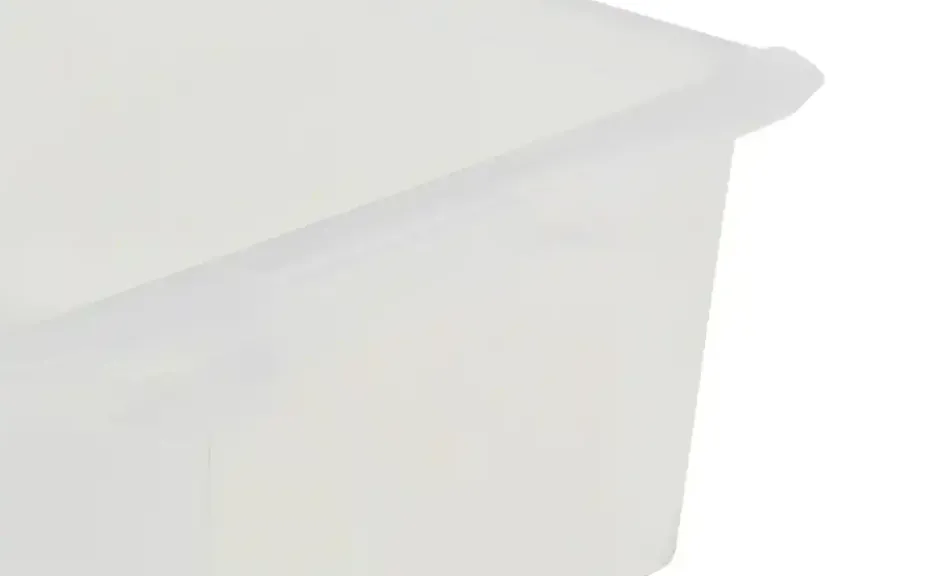Rotho Aufbewahrungsbox